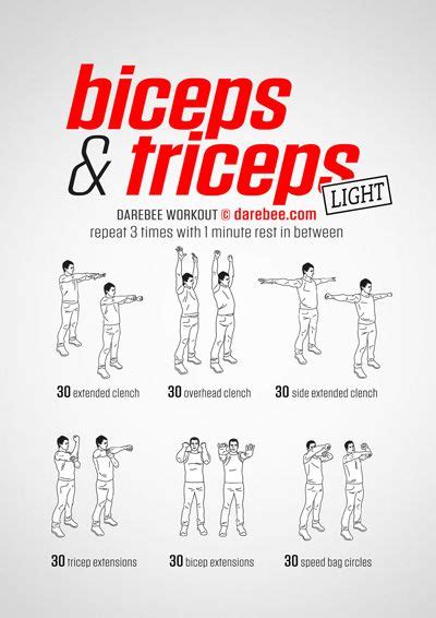 Bicep Tricep Forearm Workout Routine Workoutwalls