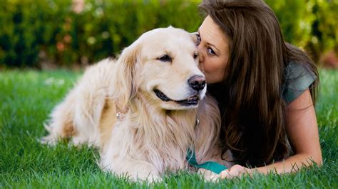 V Nculo Entre Perro Y Due O Similar Al De Madre E Hijo