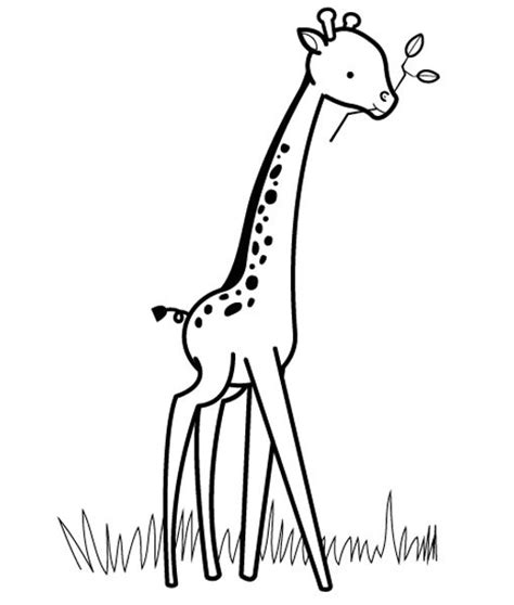 Jirafa: dibujo para colorear e imprimir