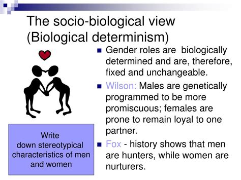Biological Differences Between Males And Females