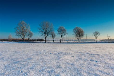 Beautiful Cold Morning On Snowy Winter Countryside Stock Image Image