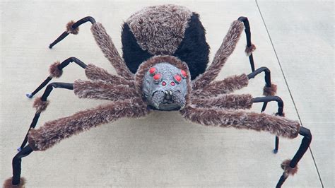 Crazy Giant Spider Prank Badchix Magazine