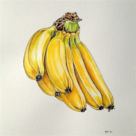 Banana Bunch Artwork By Pip Boydell Fruits Drawing Food Drawing