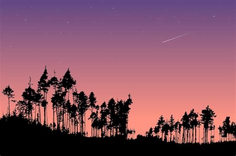 Premium Vector Vector Landscape Late Evening In Forest Silhouettes Of