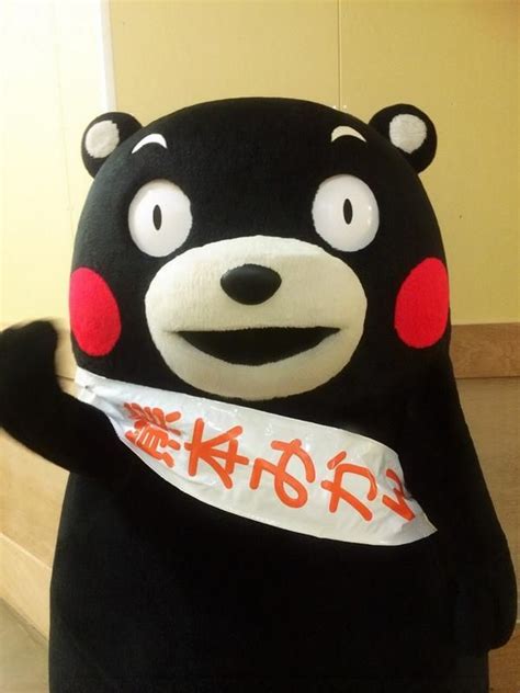 くまモン Kumamon Kumamon Mascot Hello Kitty