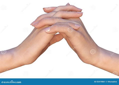 Zwei Hände Mit Den Verschachtelten Fingern Stockbild Bild Von Palme