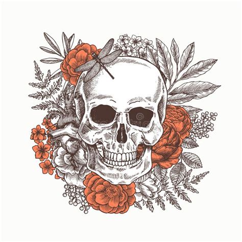 Floral Human Skull Tattoo Anatomy Vintage Illustration Vector