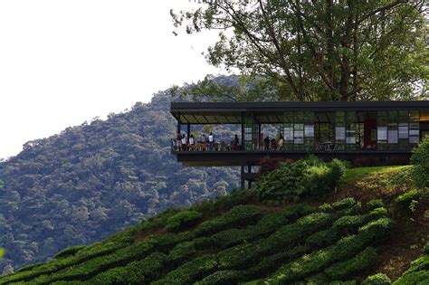 Compare cheap cameron highlands hostels. William Of Wales: homestay cameron highland