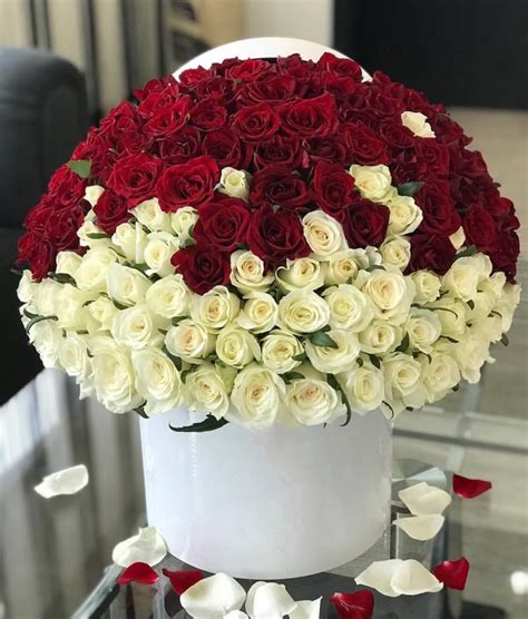 Discover wide range of best sellers flowers in our miami flower shop. 150 White and Red Roses Arrangement in a Box by Luxury ...
