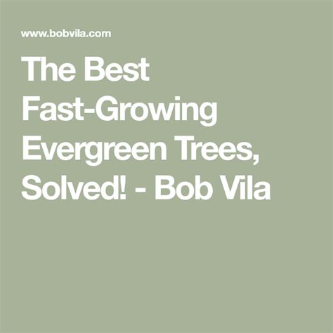 Solved Which Evergreens Grow The Fastest Fast Growing Evergreens
