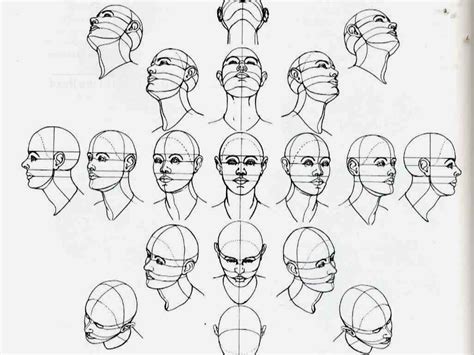 The Art Of Yves Messer Face Proportions