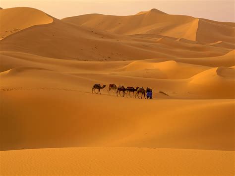 Sahara Desert North Africa