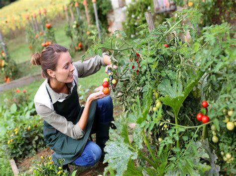 Think about it this way: Tips For Kitchen Garden - Boldsky.com