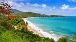 Porto Rico: MELHORES pontos turísticos e coisas para fazer em 2022 ...