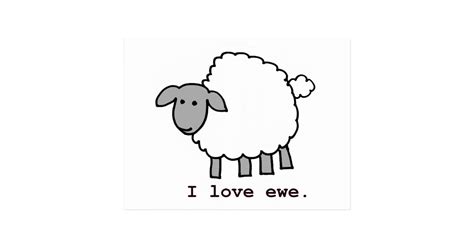 I Love Ewe Sheep Postcard Zazzle