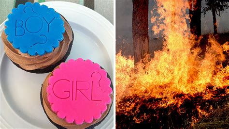 Border Patrol Agents Gender Reveal Party Sparks Wildfire