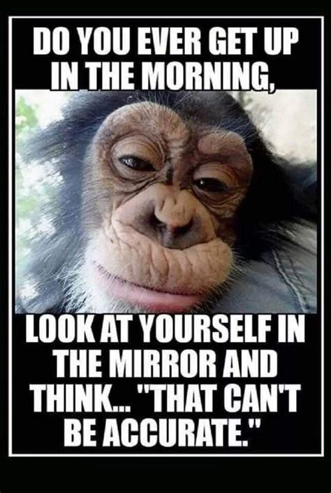 Good morning my precious meme. With images) | Funny good morning quotes, Funny quotes ...