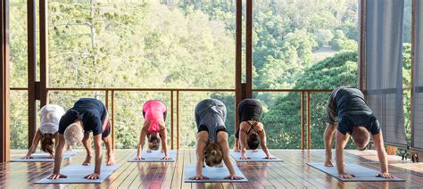 Yoga Classes Brisbane Yoga For Blokes Yoga Everyday Stafford