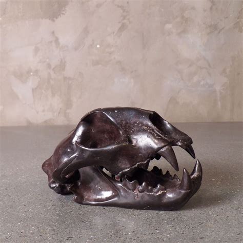 Bronze Cast Mountain Lion Skull 185 Home