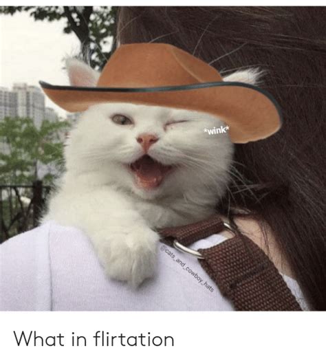 Wink And Cowboy Hats What In Flirtation Cats Meme On Meme