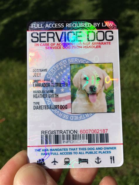 We did not find results for: Service Dog Id Card Customized Holographic ADA ESA | eBay