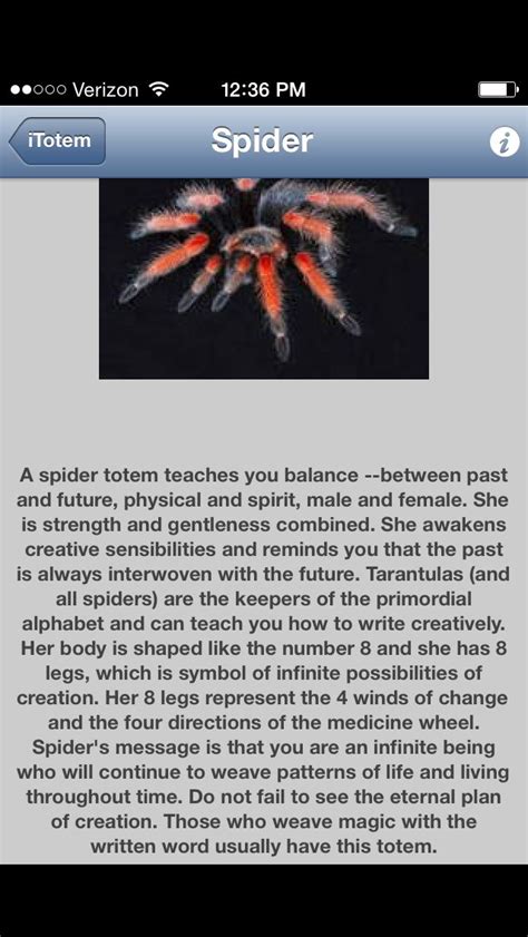 Meaning Of Spider Totem If You See Spiders Often Read This Spirit
