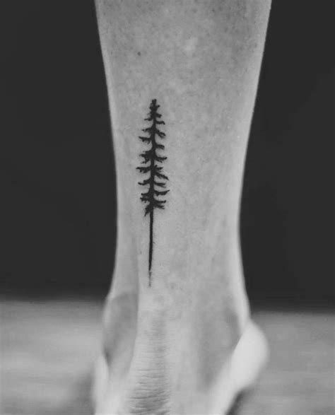 Tree Tattoo Pine Tree Ankle Tattoo Stella Luø Tattoos Stella Luo