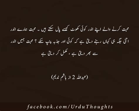 Abdullah Novels say- qtibas muhabbat karnay | Quotes from novels, Abdullah novel quotes ...