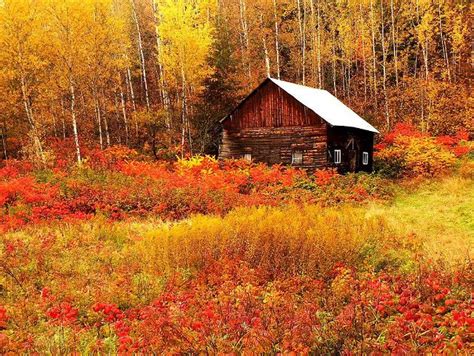 My Two Favorite Things Log Cabins And Autumn Cabin Scenery Cabins