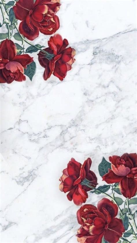 Marble Rose Wallpapers Top Free Marble Rose Backgrounds Wallpaperaccess