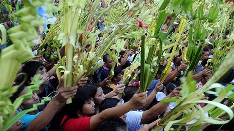 10 Ways People Celebrate Palm Sunday Around The World Articles Cbc Kids