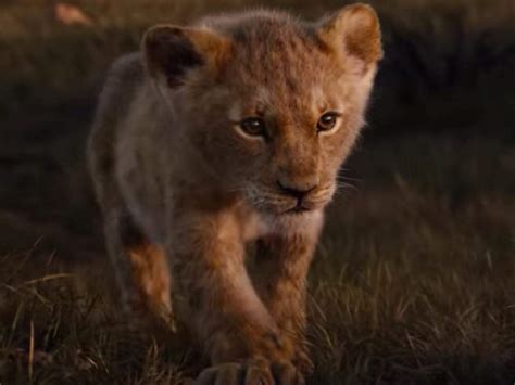 At least, that's the takeaway from the box office this weekend, as disney's cgi, photorealistic the lion king remake took the top spot at the box office. 'The Lion King' box office collection Day 4: The Jon ...