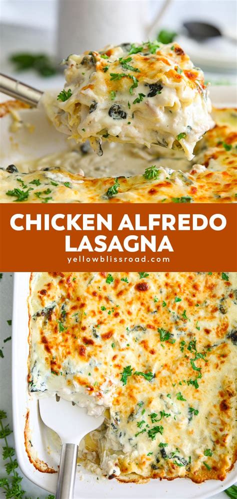Easy Chicken Alfredo Lasagna Chicken Lasagna