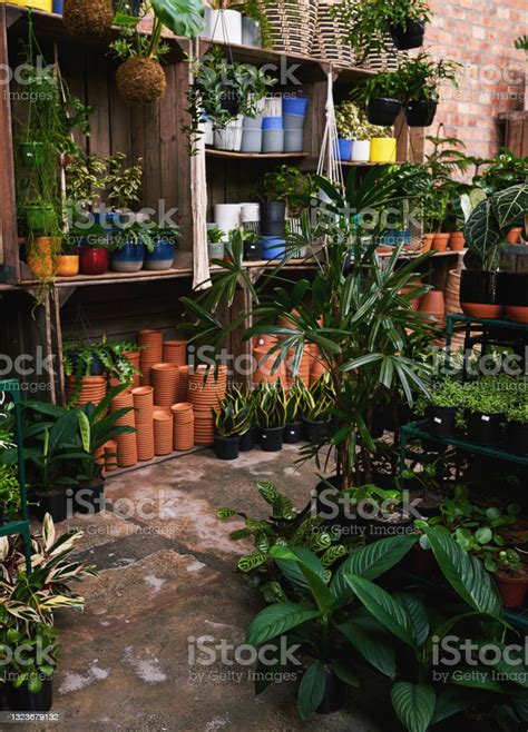 Shot Of An Empty Plant Nursery Stock Photo Download Image Now