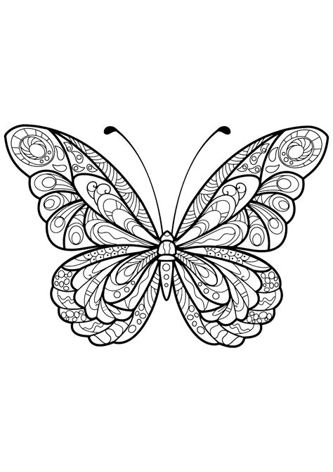 Butterfly beautiful patterns 5 - Butterflies & insects Adult Coloring Pages