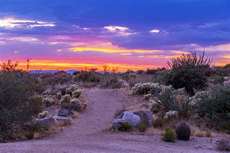 Hiking Trail Leading To Vibrant Desert Sunrise Stock Photo Image Of