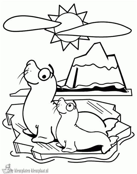 Animals Monk Seal Printable Coloring Pages For Preschool Preschool Crafts
