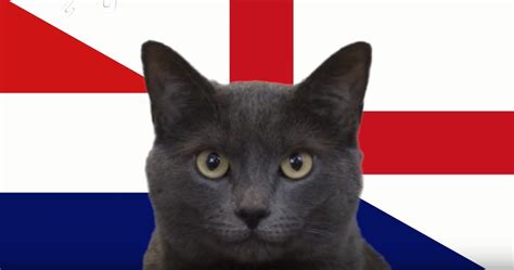 Nhận định kèo châu á, kèo chấp croatia vs anh. Mèo tiên tri soi kèo, dự đoán kết quả Anh vs Croatia: Nên ...