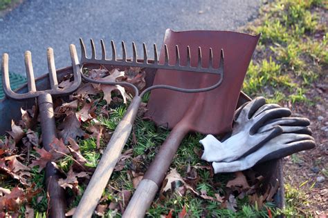 How To Care For Your Gardening Tools The Basics Bob Vila