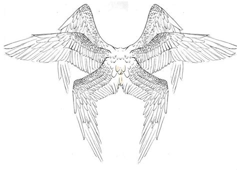 Seraphim Angel Tattoos Google Search Wings Art Wings Drawing