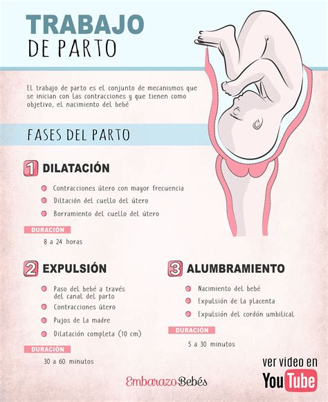 Fisiologia Del Trabajo De Parto Parto Placenta Images