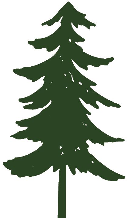 Clip Art Pine Trees Black And White Free Clipart Image Pine Tree