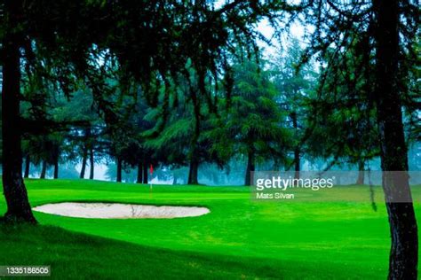 Pin Branche Photos And Premium High Res Pictures Getty Images