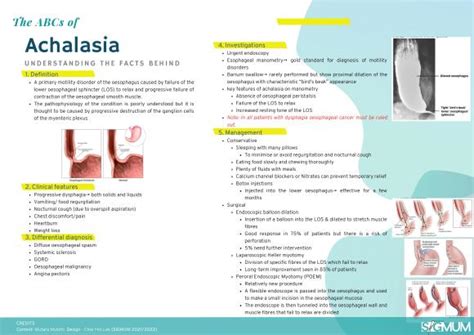 Abcs Of Achalasia Surgical Interest Group Of Monash University Malaysia