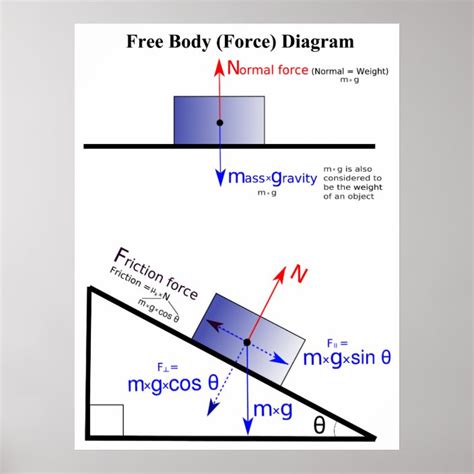 Póster Diagrama De La Fuerza De Cuerpo Libre De La Física Zazzlees