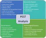 It Pest Analysis Pictures