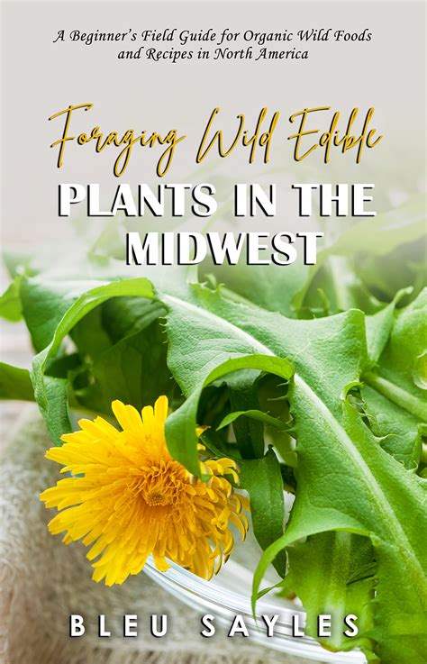 Foraging Wild Edible Plants In The Midwest A Beginners Field Guide