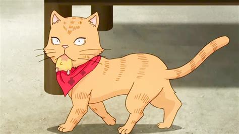 Discover More Than 68 Anime Characters Are Cats Latest Induhocakina
