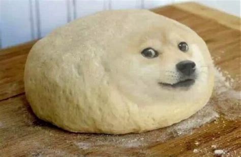 Fat Doge Blank Template Imgflip