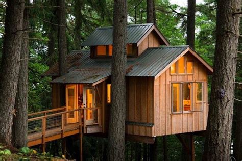 The 25 Coolest Adult Treehouses Suburban Men